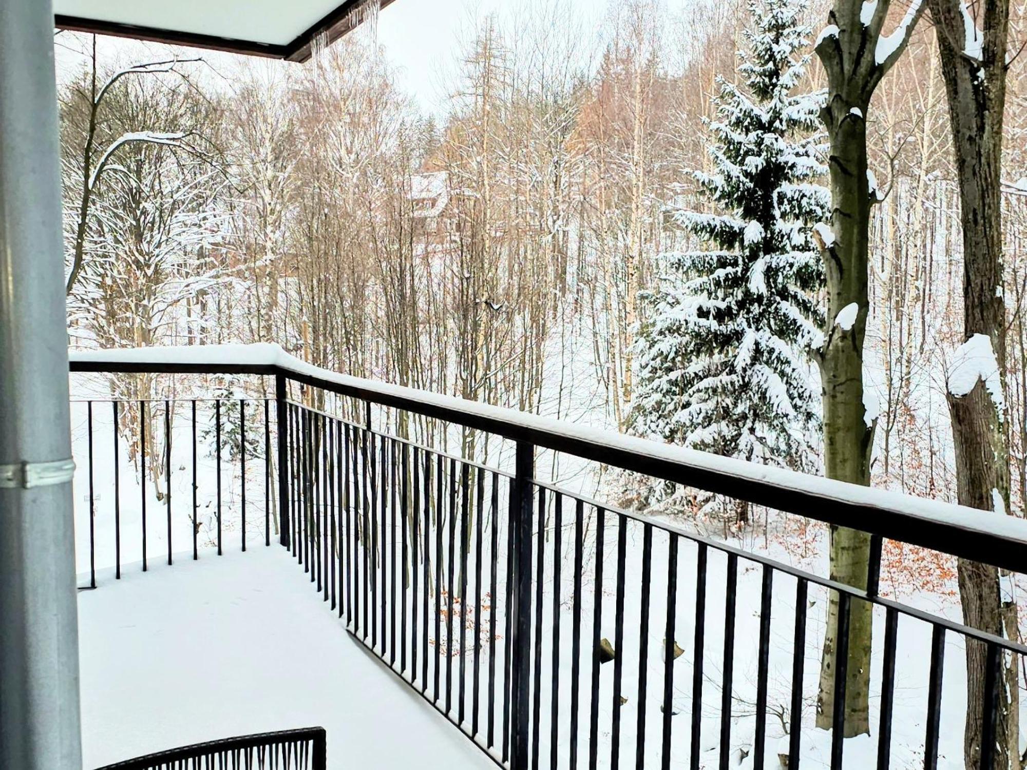 Apartament Z Pieknym Widokiem Na Las Schreiberhau Exterior foto