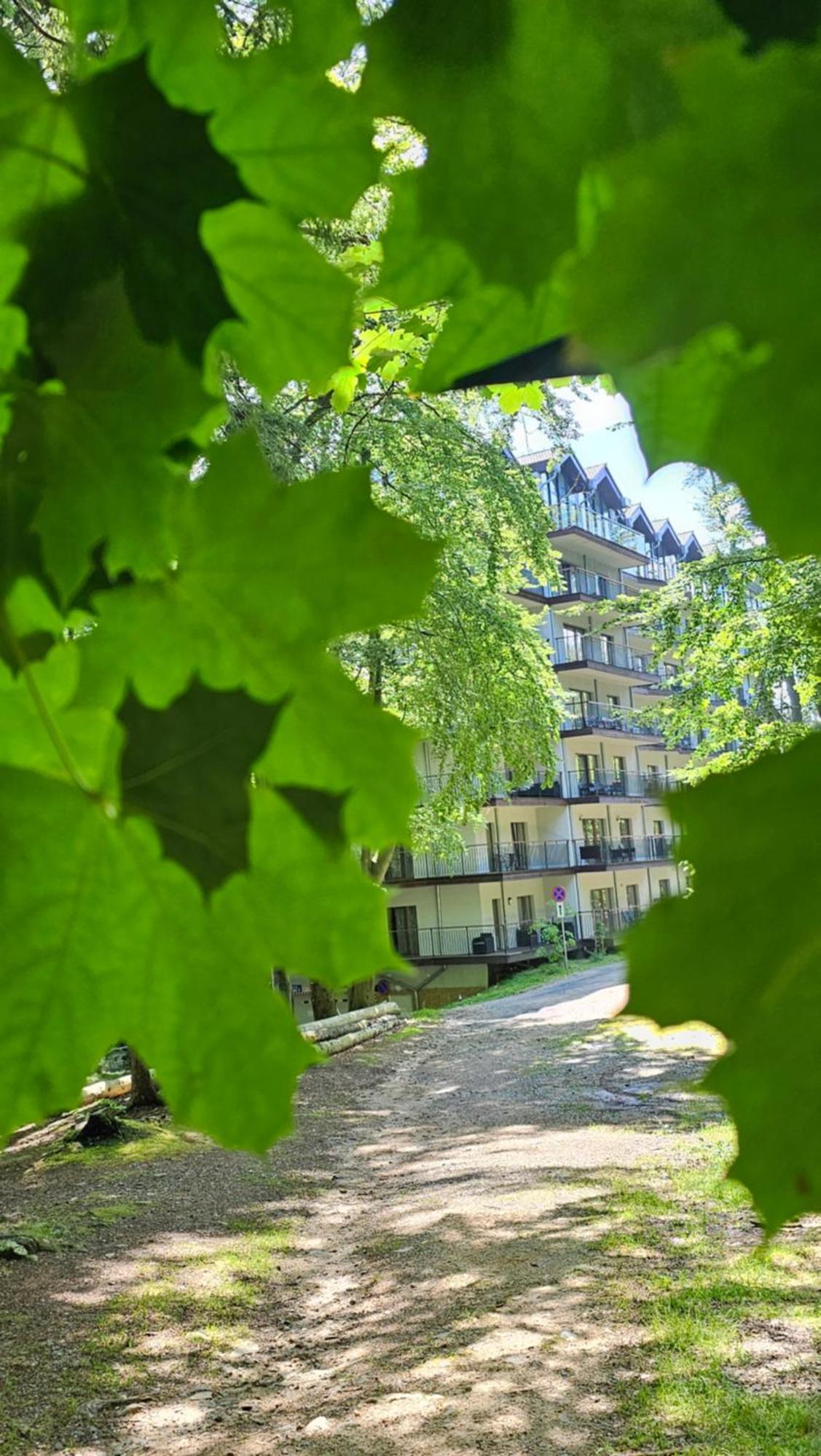 Apartament Z Pieknym Widokiem Na Las Schreiberhau Exterior foto