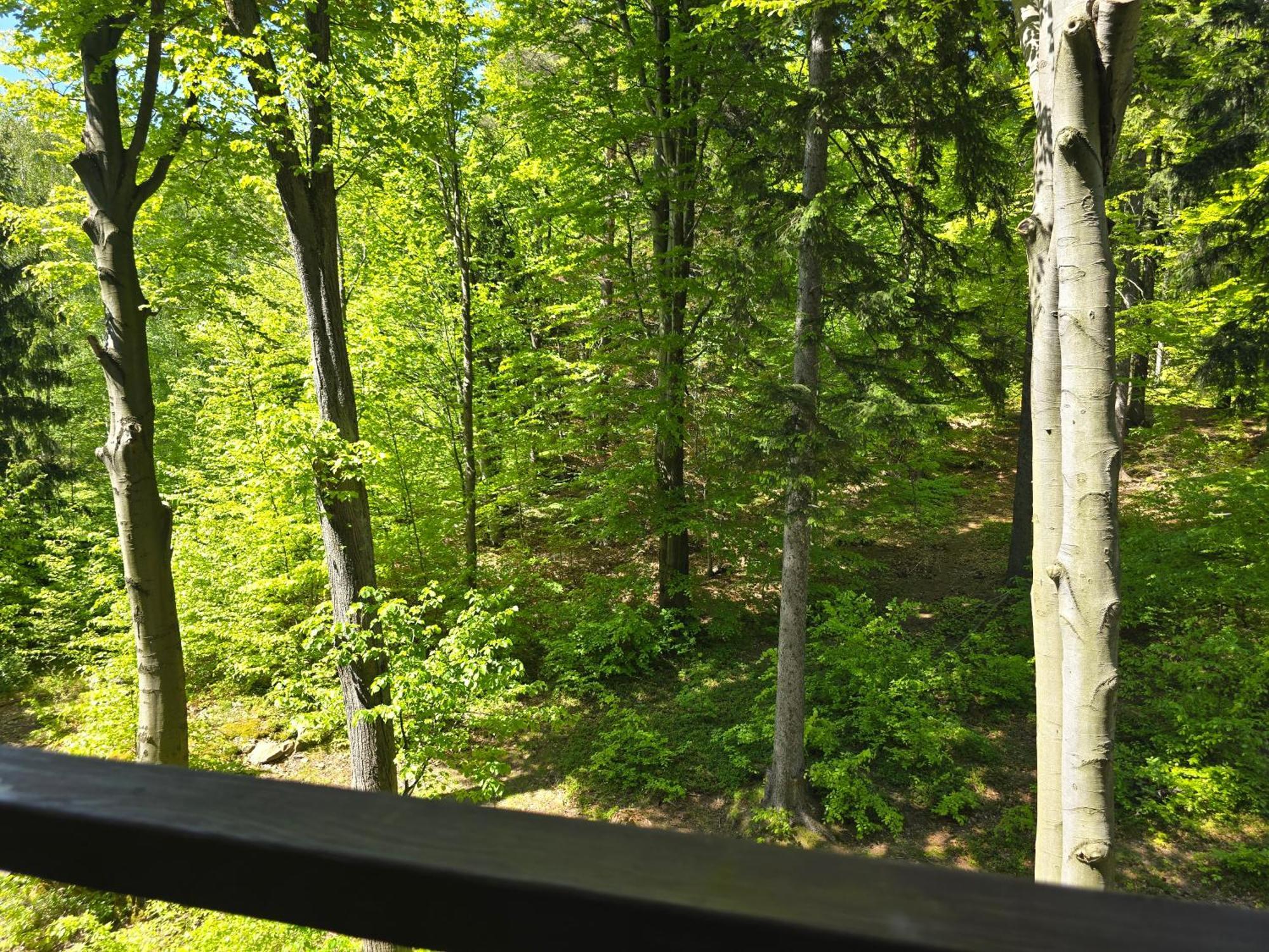 Apartament Z Pieknym Widokiem Na Las Schreiberhau Exterior foto